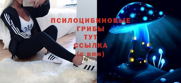 прущие крисы Новосибирск