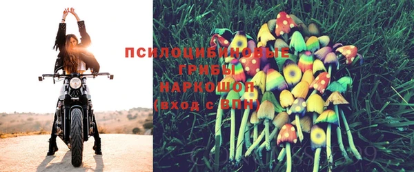 мяу мяу мука Заводоуковск