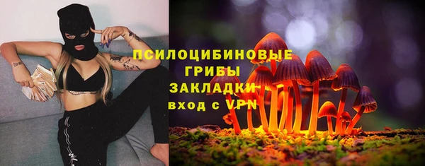 PSILOCYBIN Санкт-Петербург