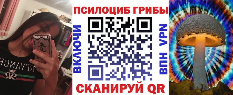 наркошоп darknet какой сайт Псилоцибиновые грибы MAGIC MUSHROOMS Петров Вал